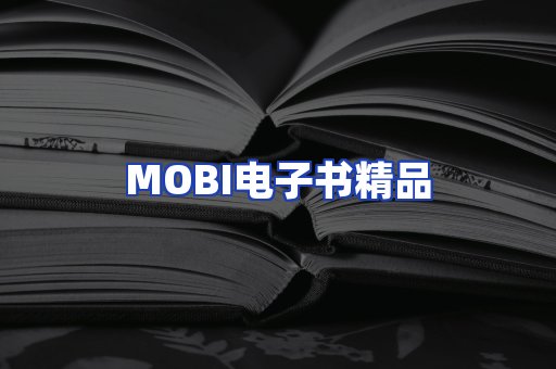 外文电子书产品